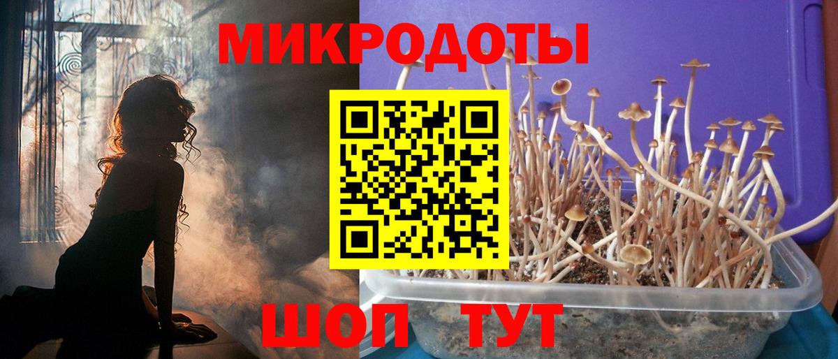 Псилоцибиновые грибы ЛСД  Вход с VPN  Псилоцибиновые грибы ЛСД  Великий Устюг 